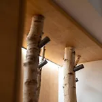 Διαμέρισμα Casera Cal De Mez- Wellness *